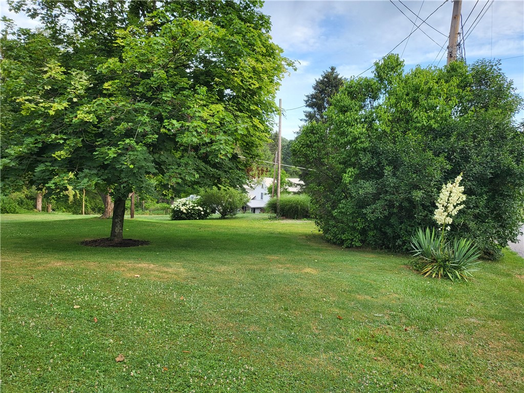 2589 Mill Rd