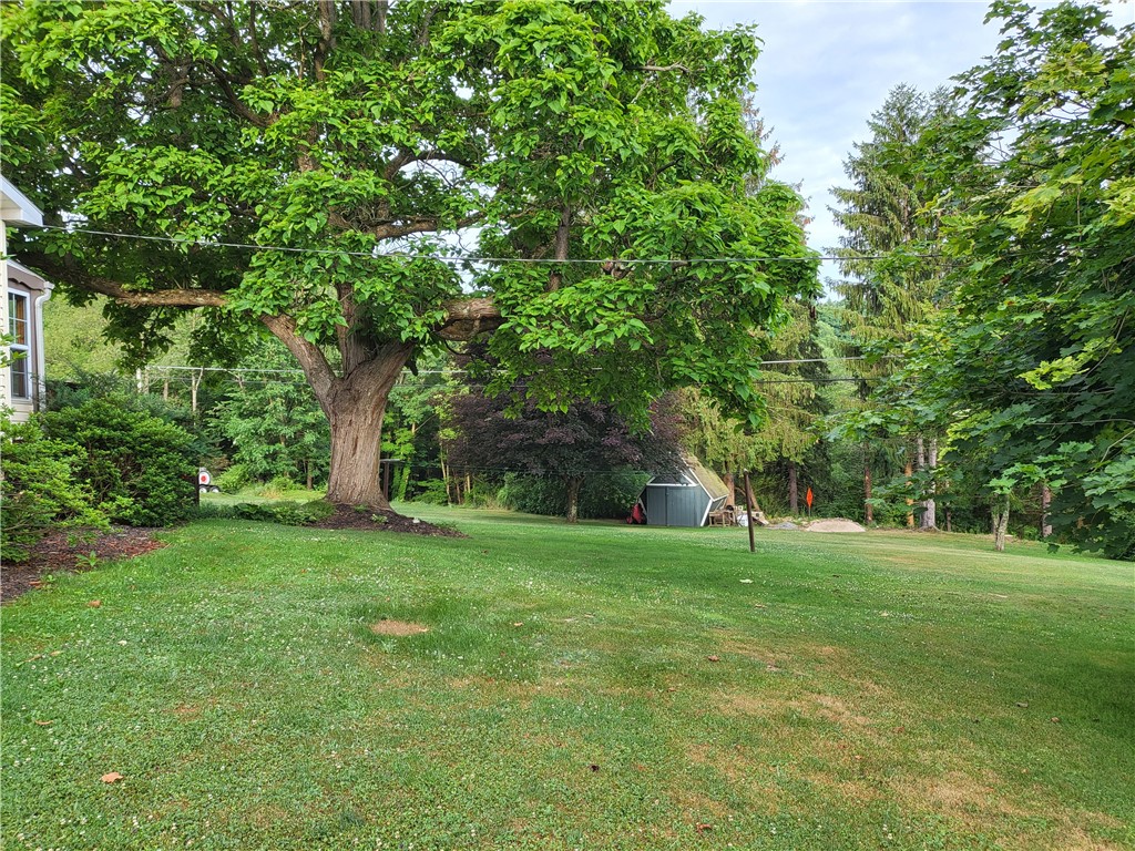2589 Mill Rd
