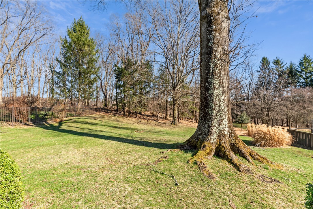171 Kelvington Dr