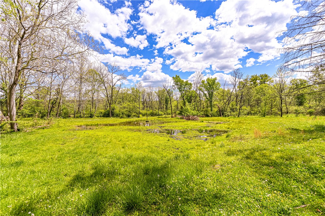 324 Fenfield Dr