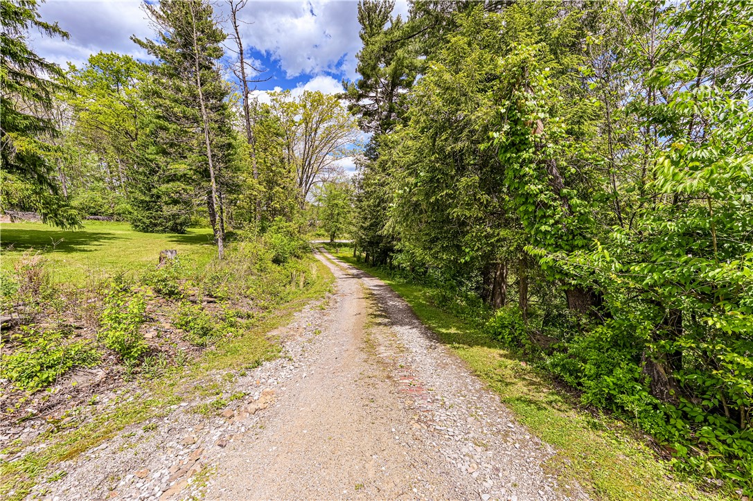 324 Fenfield Dr
