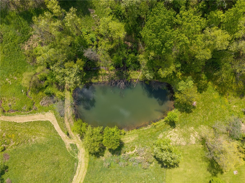 6234 Schafer Dr