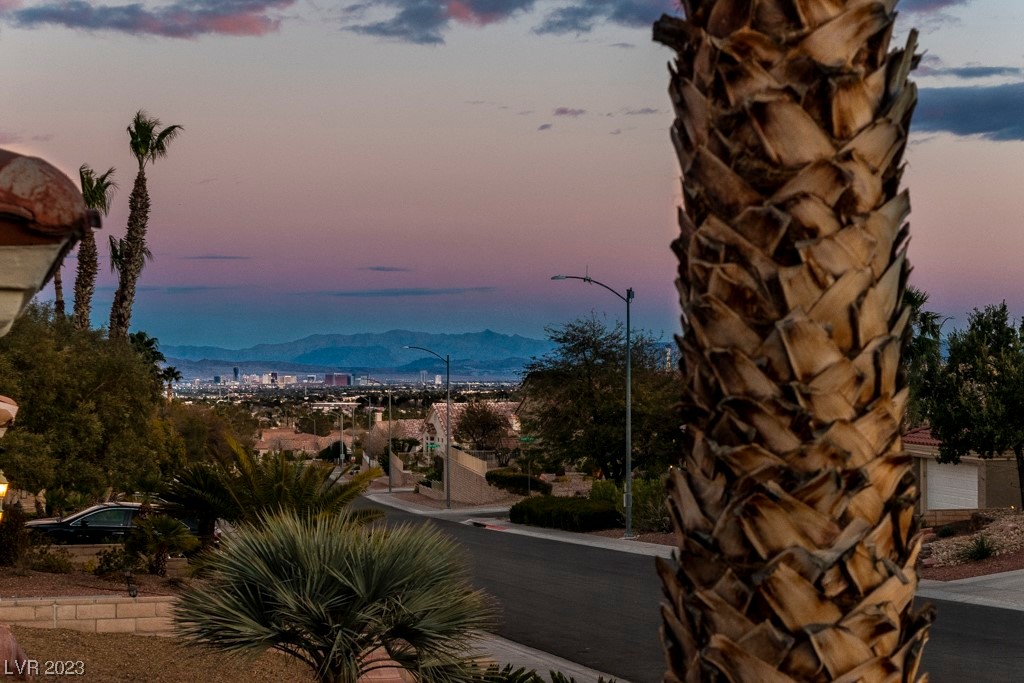 10200 Button Willow Drive