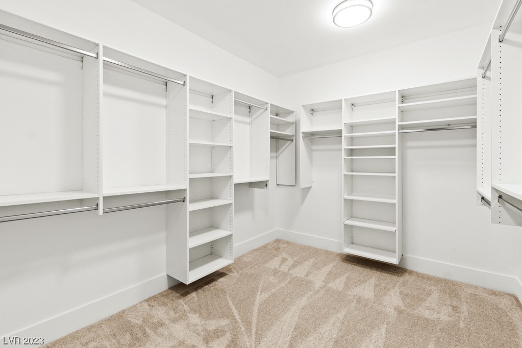 10200 Button Willow Drive