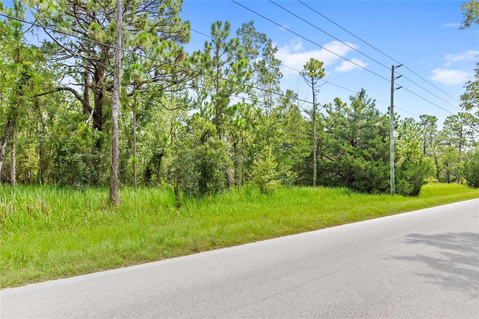 14361 SWITCH BACK RD