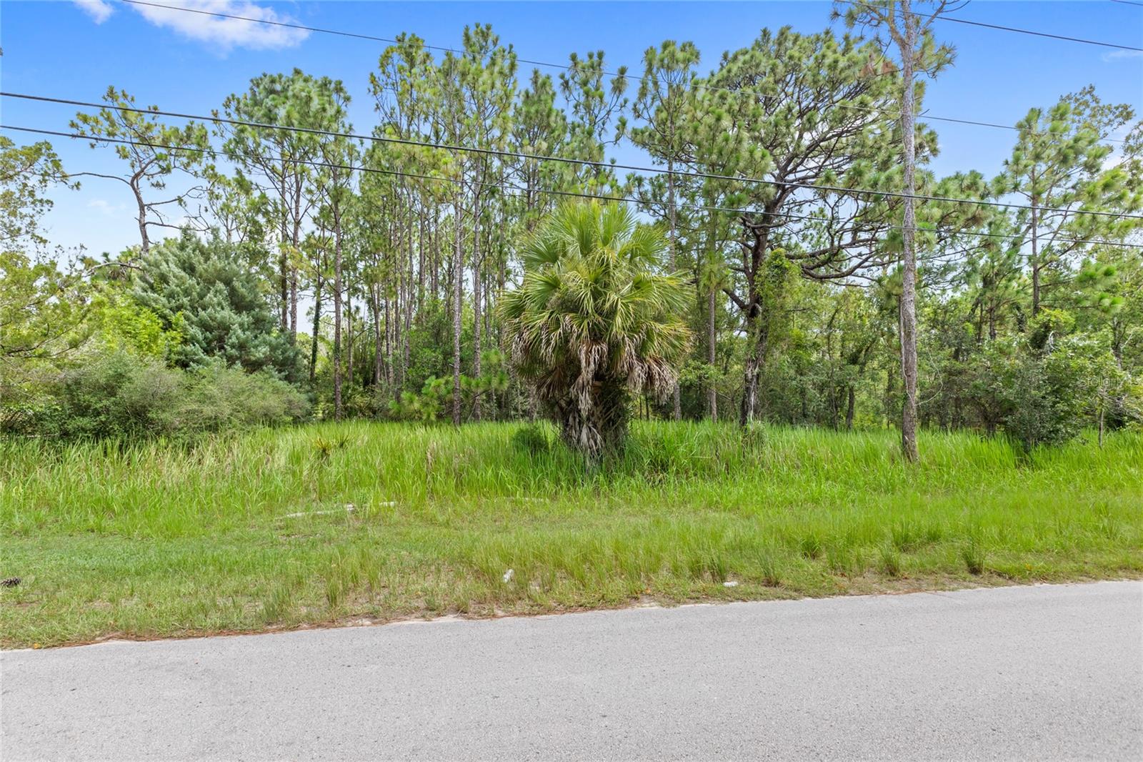 14361 SWITCH BACK RD