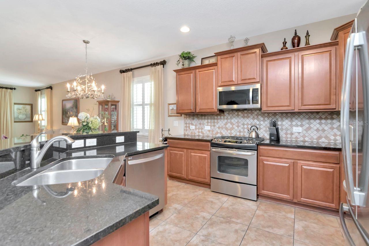 3302 GRANITE RIDGE LOOP