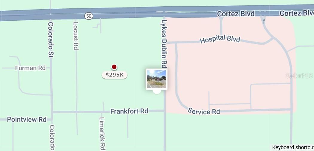 7381 LYKES DUBLIN RD