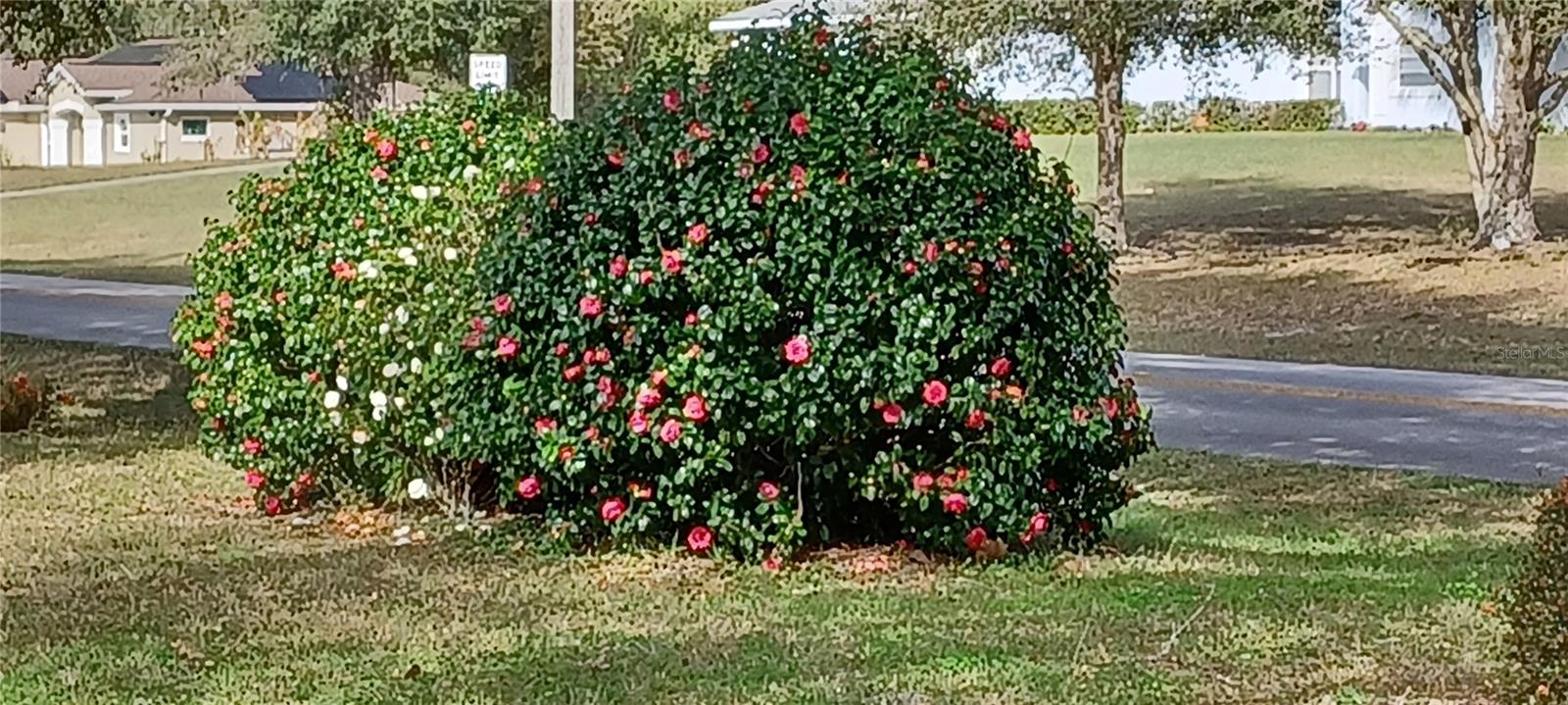 2910 N ANNAPOLIS AVE