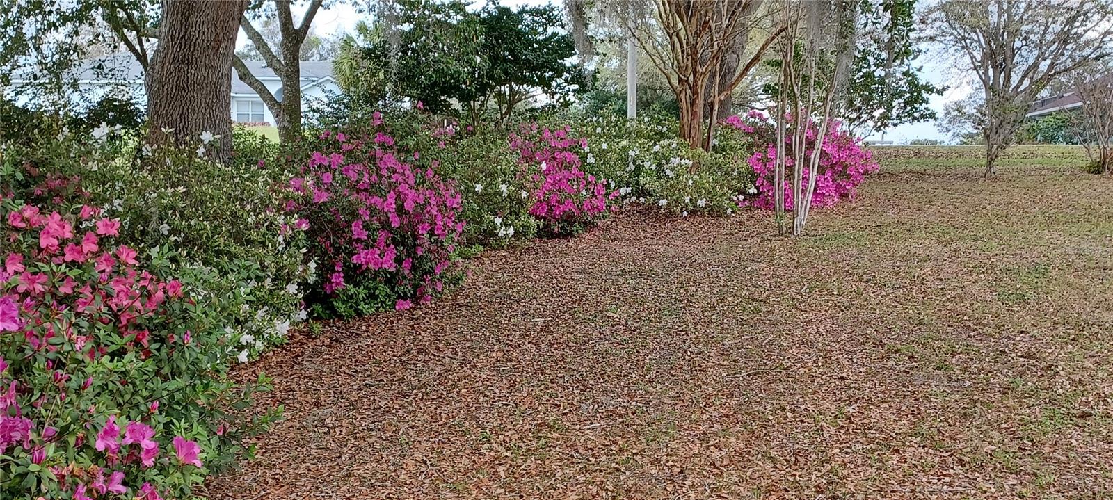 2910 N ANNAPOLIS AVE