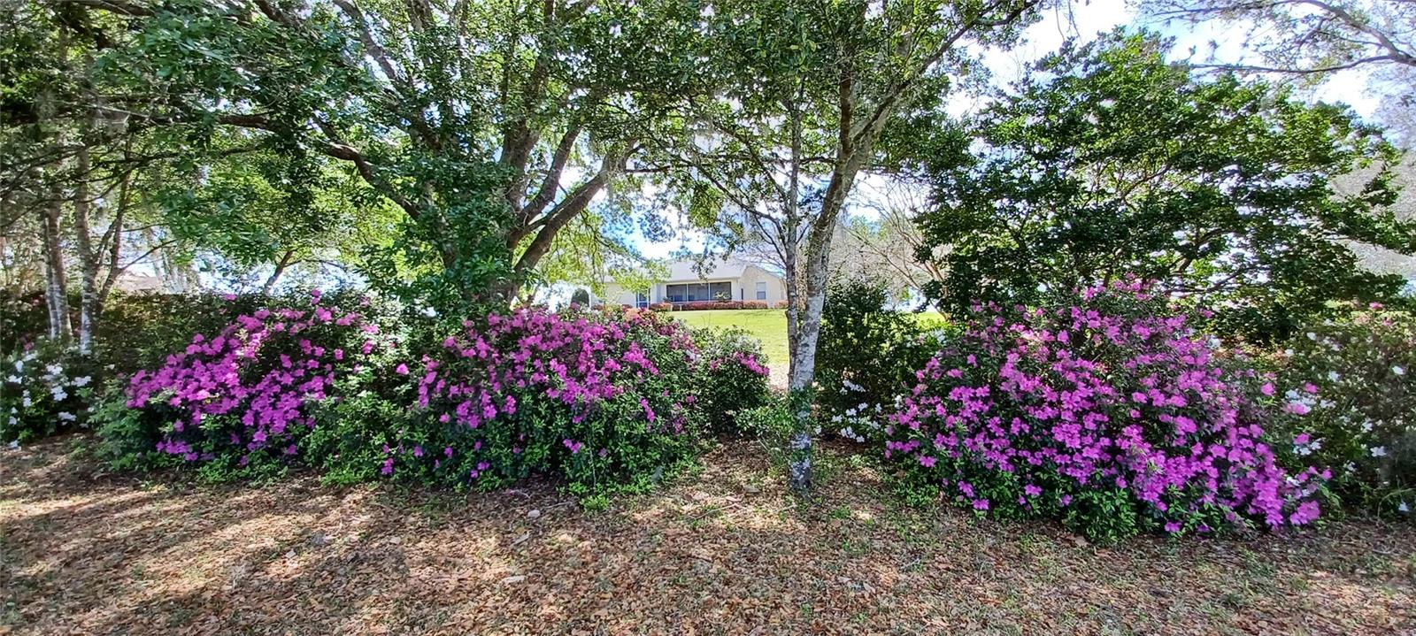 2910 N ANNAPOLIS AVE