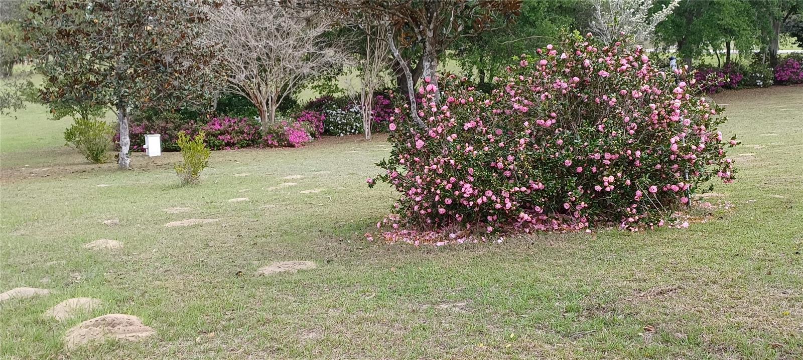 2910 N ANNAPOLIS AVE