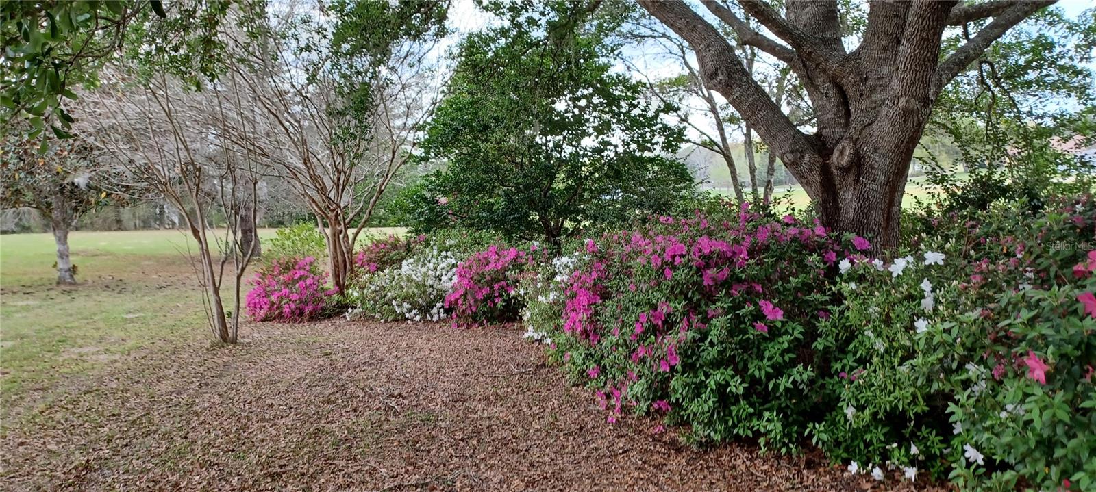 2910 N ANNAPOLIS AVE