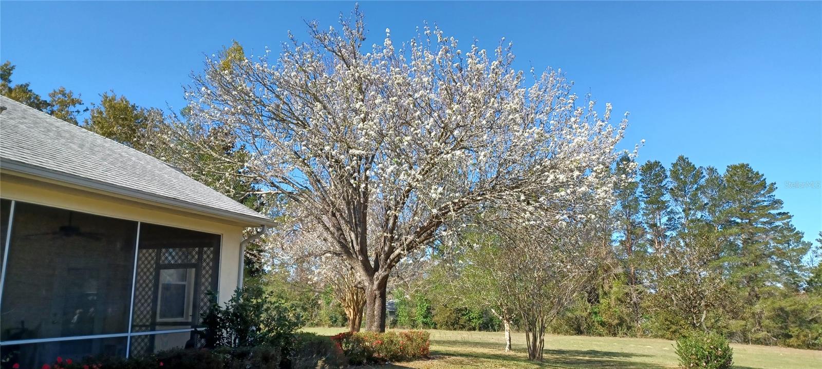 2910 N ANNAPOLIS AVE