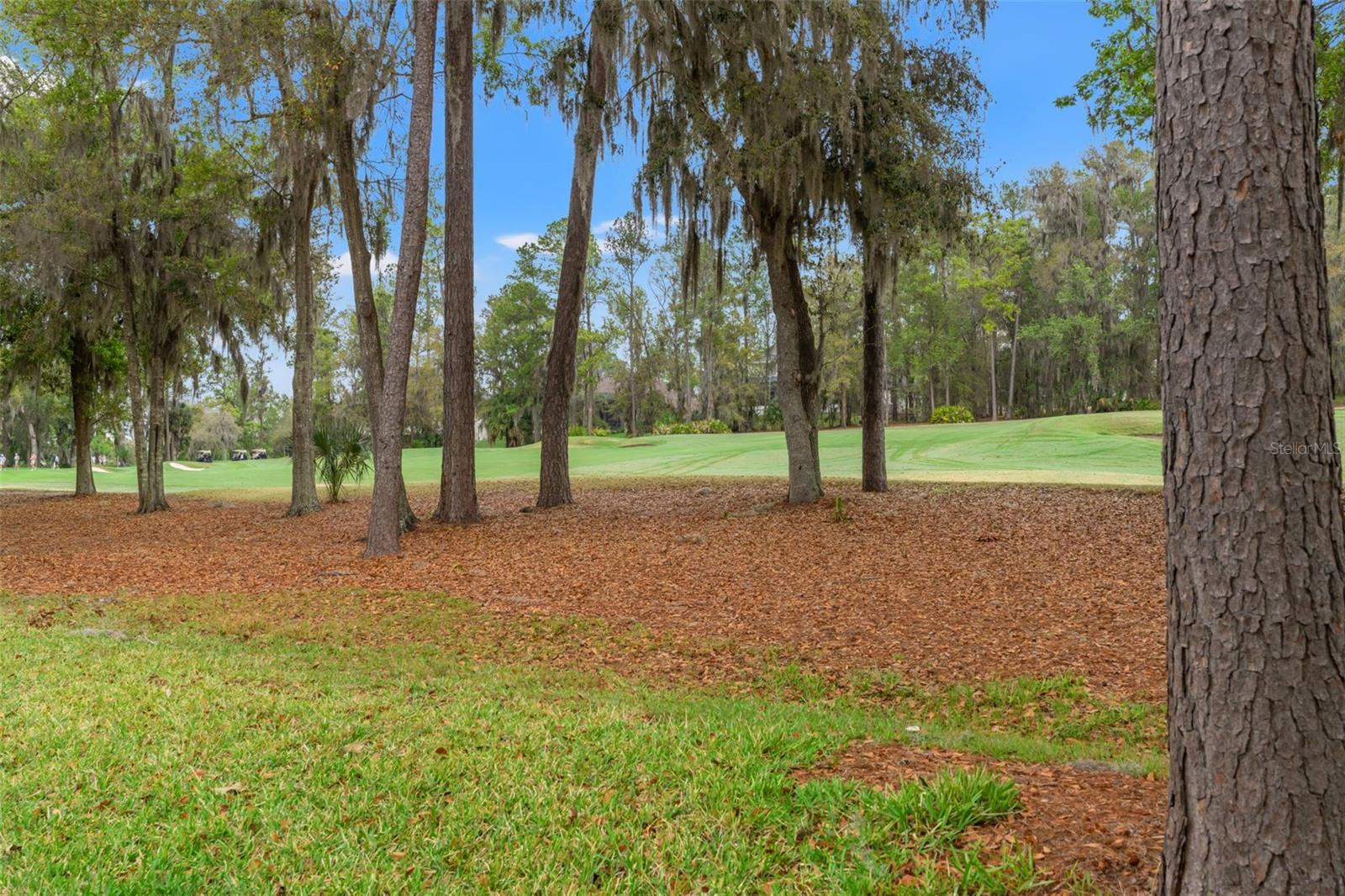 19571 LILY POND CT