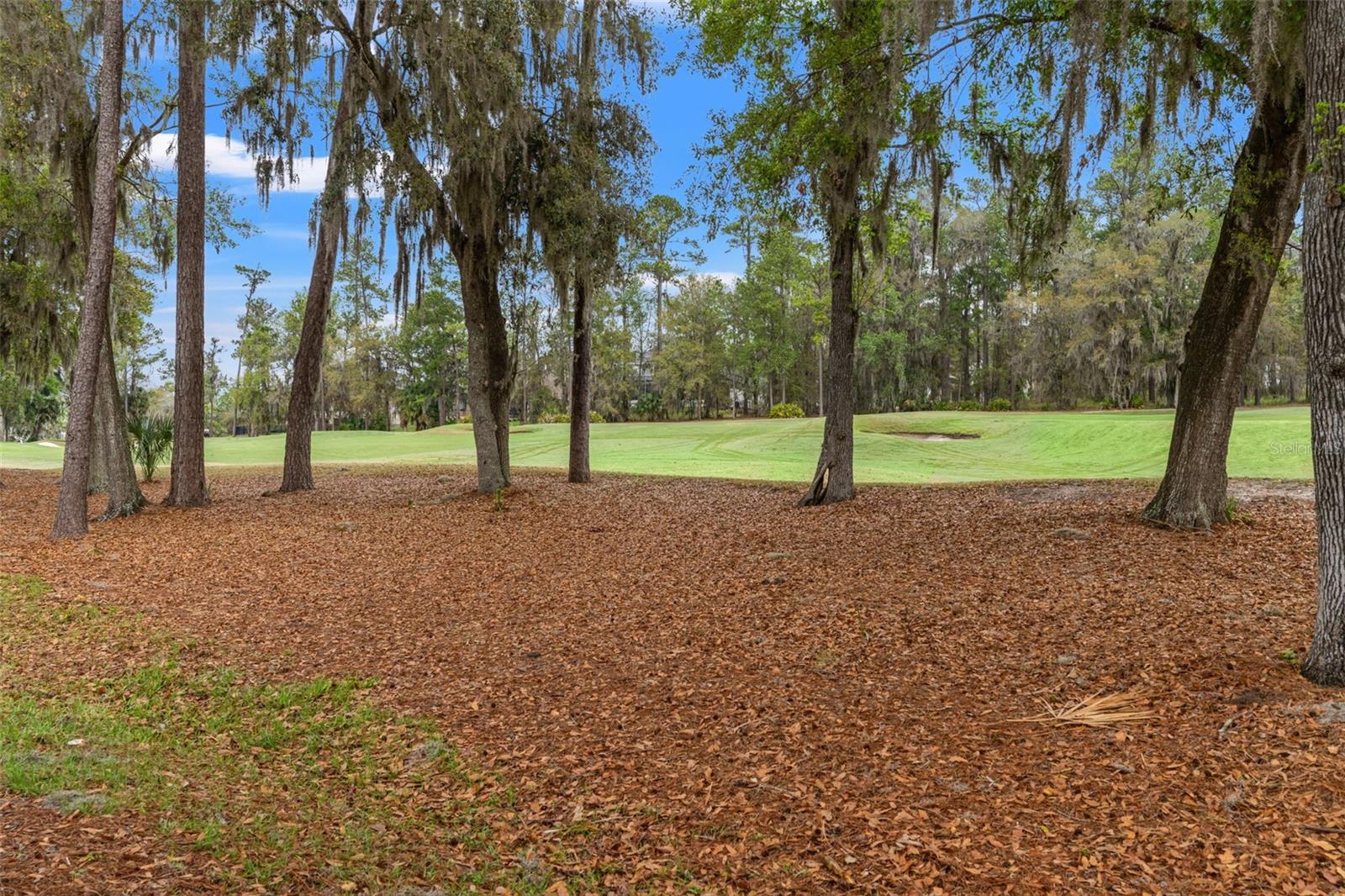 19571 LILY POND CT