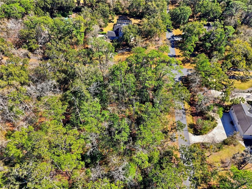 165 Pierce Butler Drive, St. Simons Island