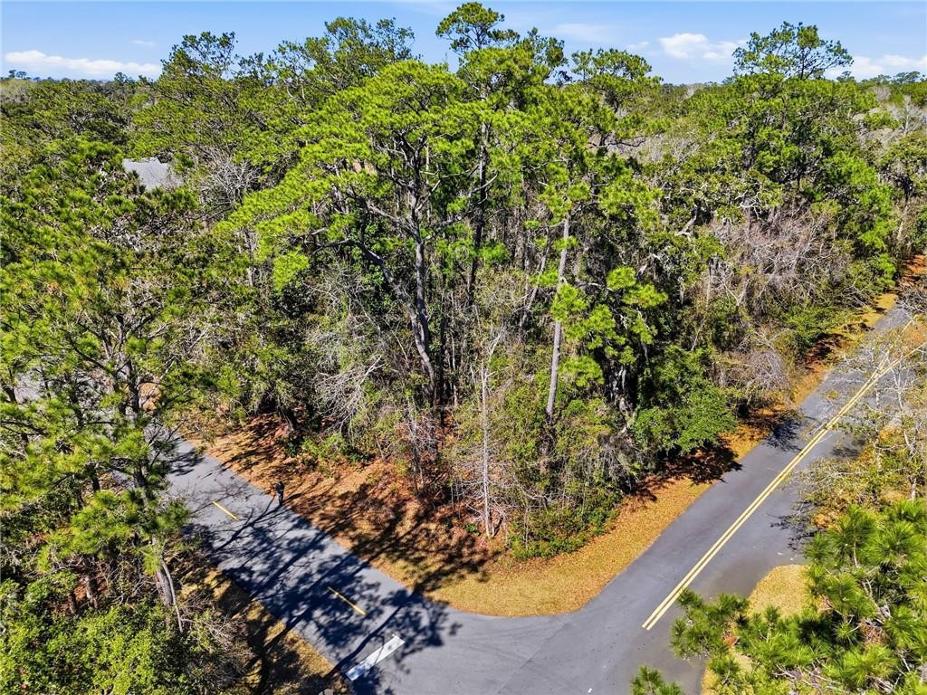 165 Pierce Butler Drive, St. Simons Island