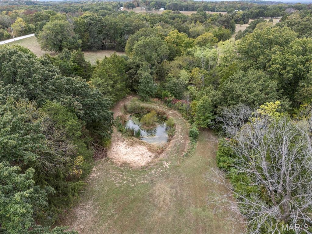473 Wild Turkey Lane