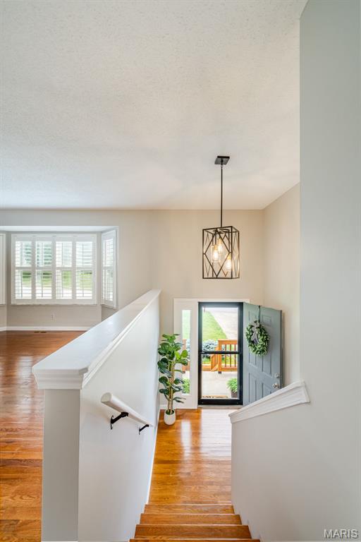7716 Meadow View Circle