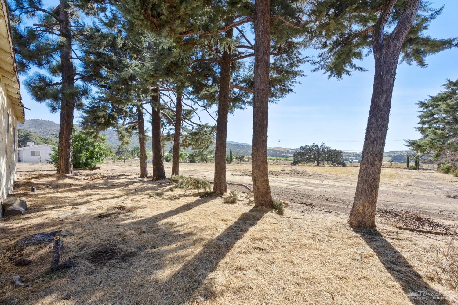 20084 Backes Lane