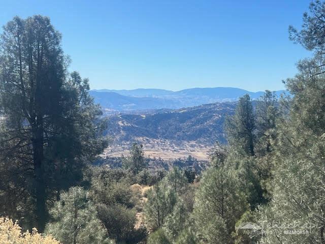 26541 Winchester Court