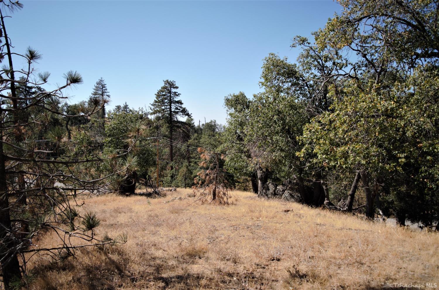 25920 Deertrail Drive