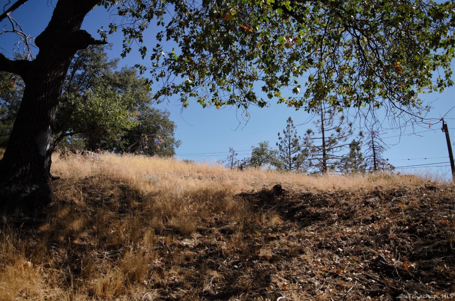 25920 Deertrail Drive