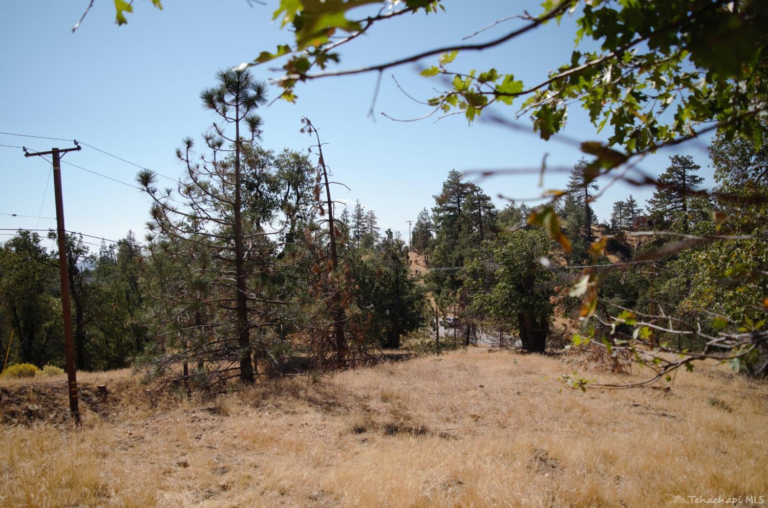 25920 Deertrail Drive