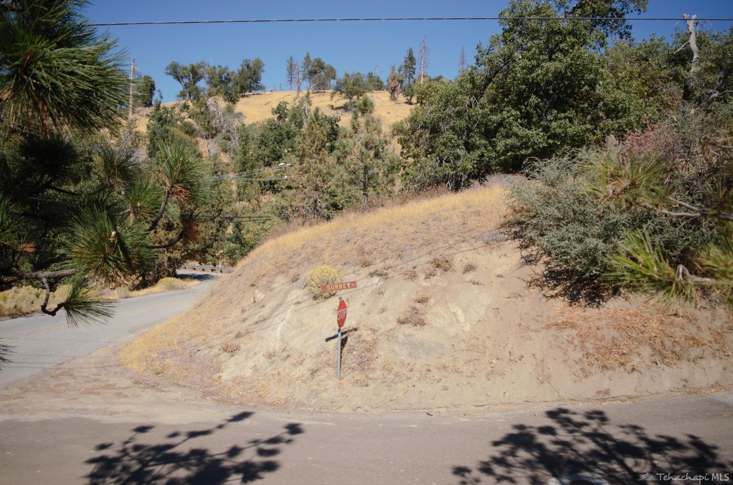 25920 Deertrail Drive