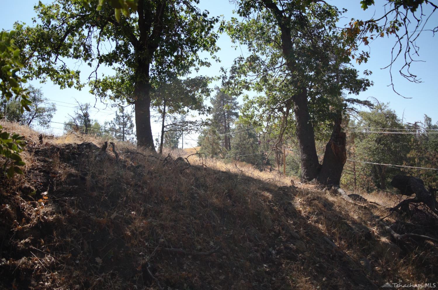 25920 Deertrail Drive