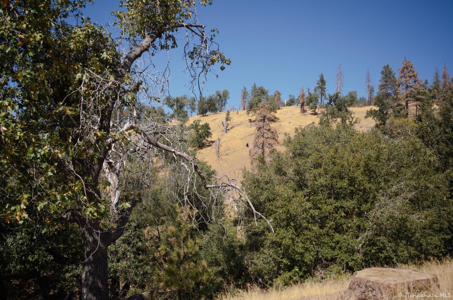 25920 Deertrail Drive