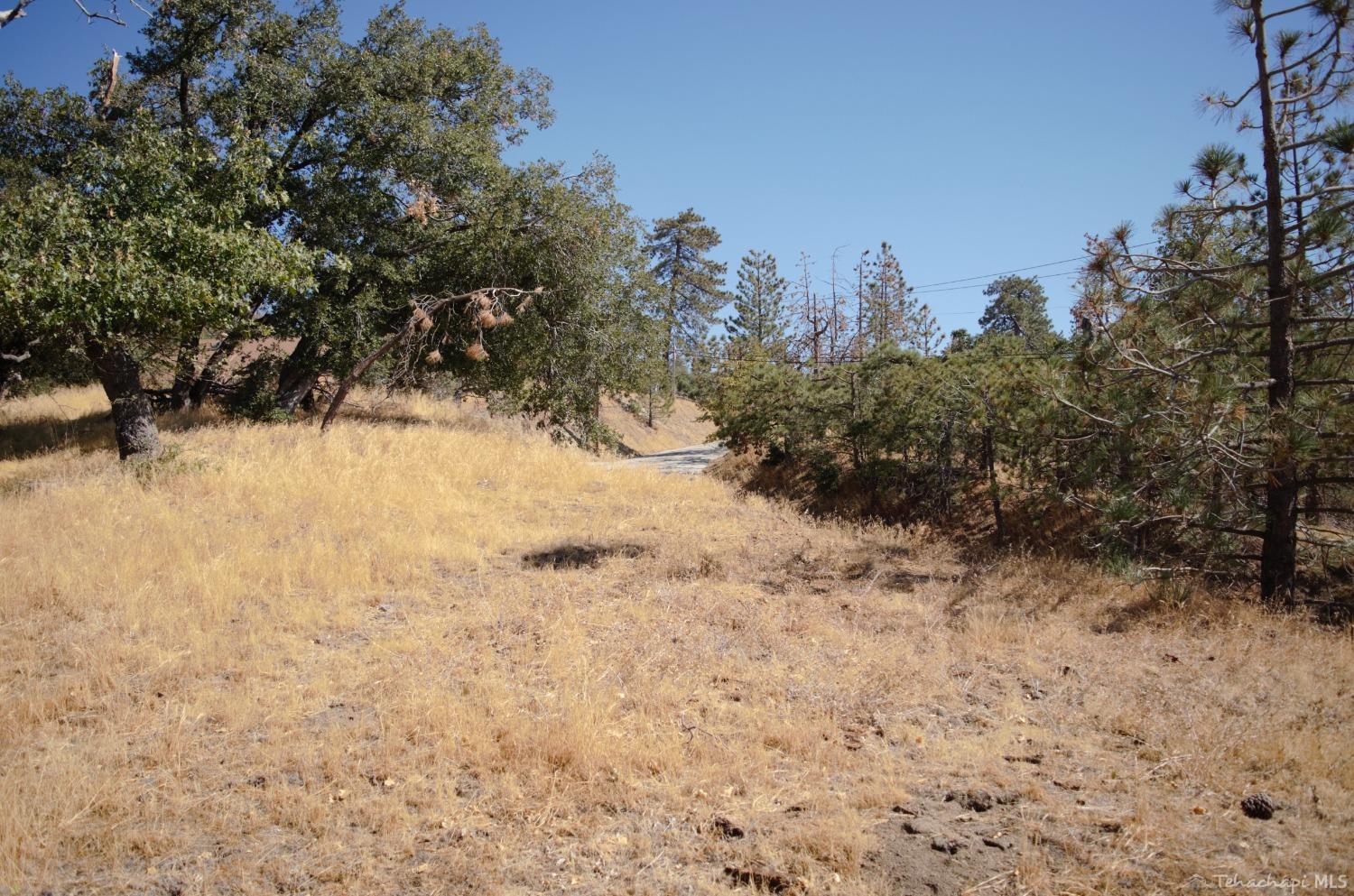 25920 Deertrail Drive