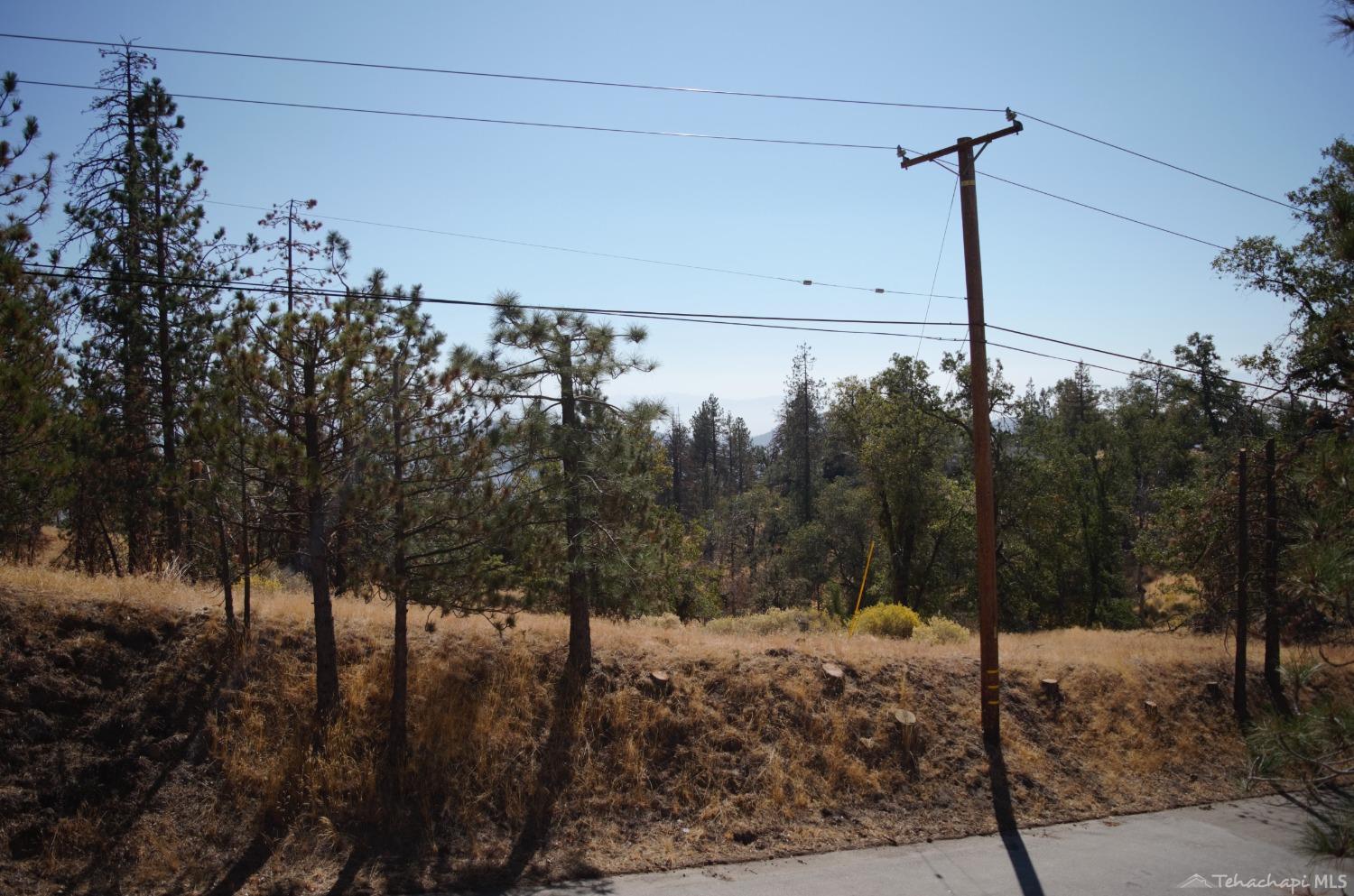 25920 Deertrail Drive