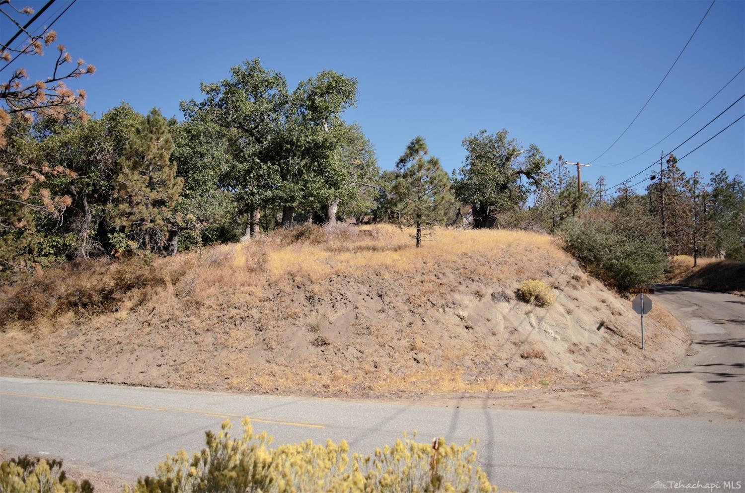 25920 Deertrail Drive