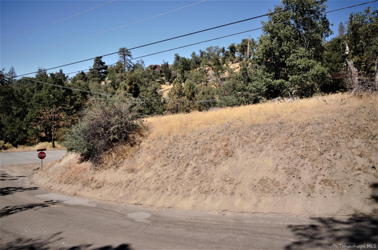 25920 Deertrail Drive