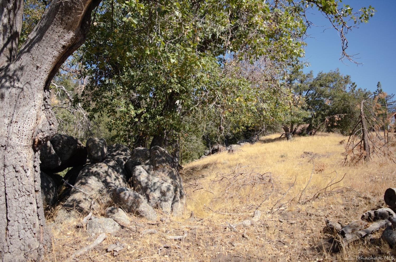 25920 Deertrail Drive