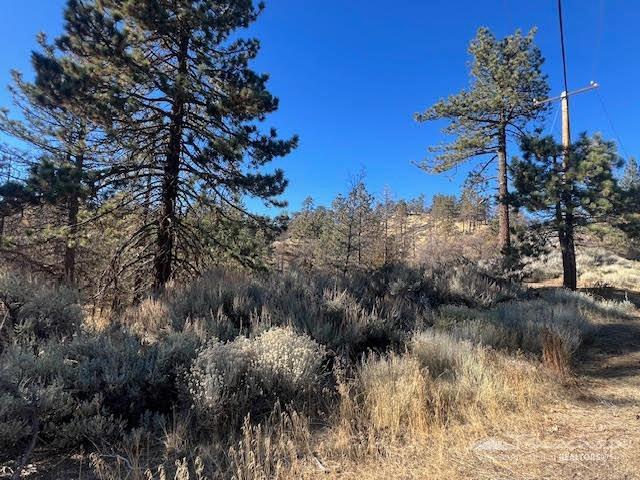 25701 Paramount Drive