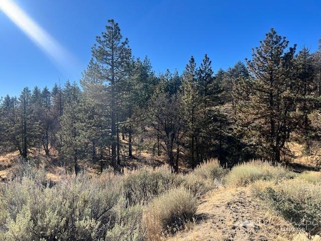 25701 Paramount Drive