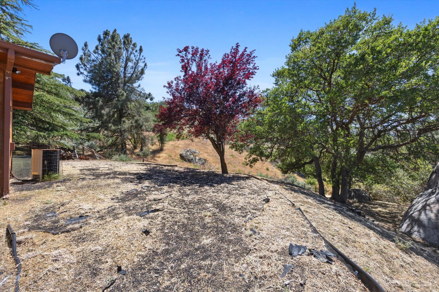 22481 Saddleback Drive