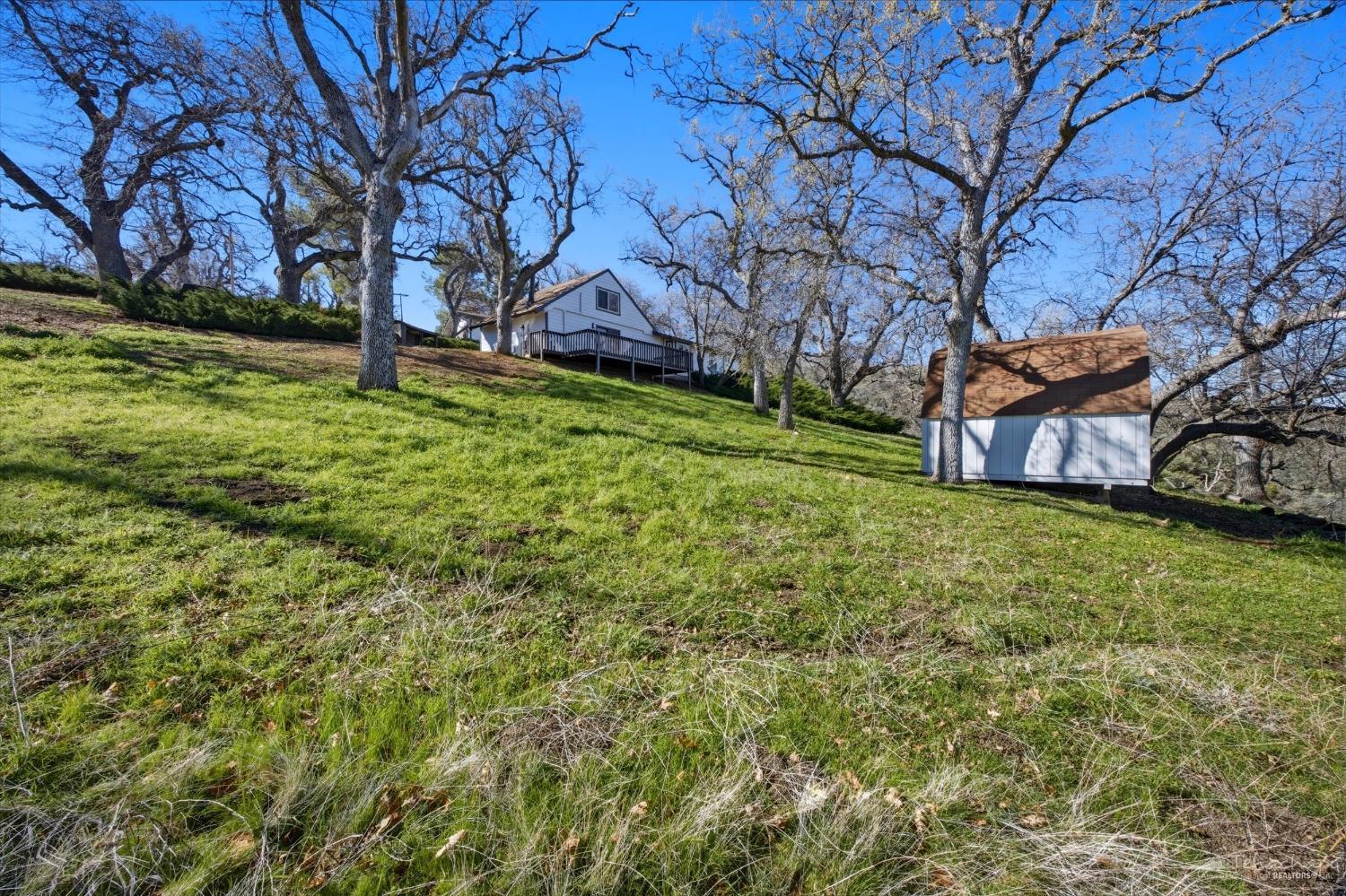 24151 Woodbine Court