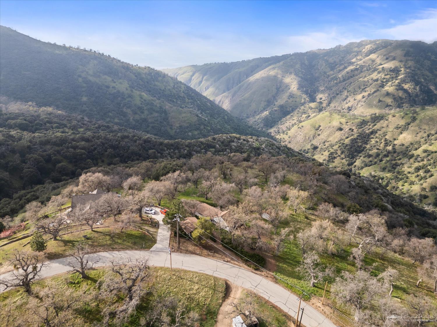 24151 Woodbine Court