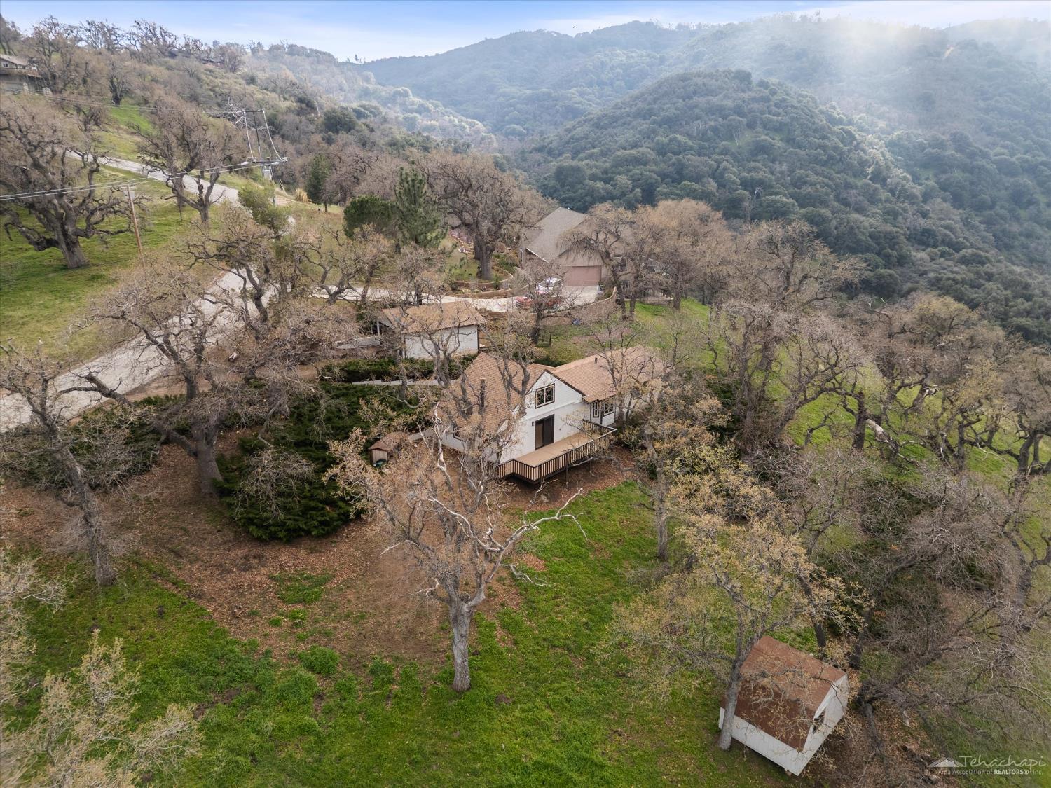 24151 Woodbine Court