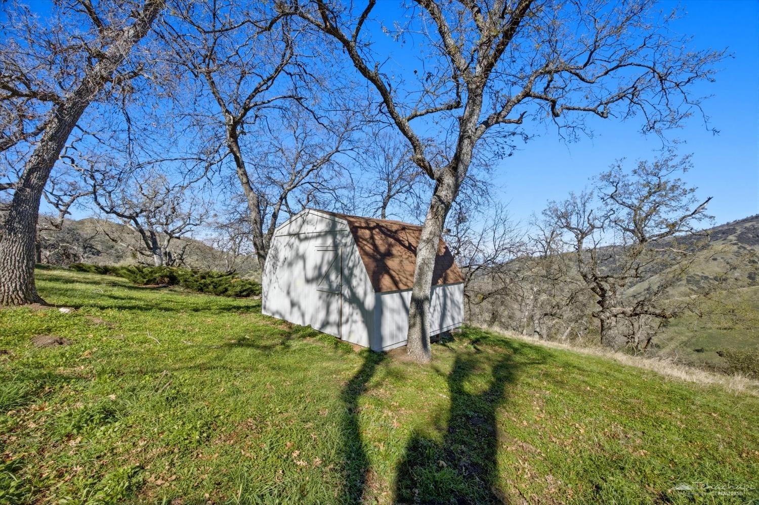 24151 Woodbine Court