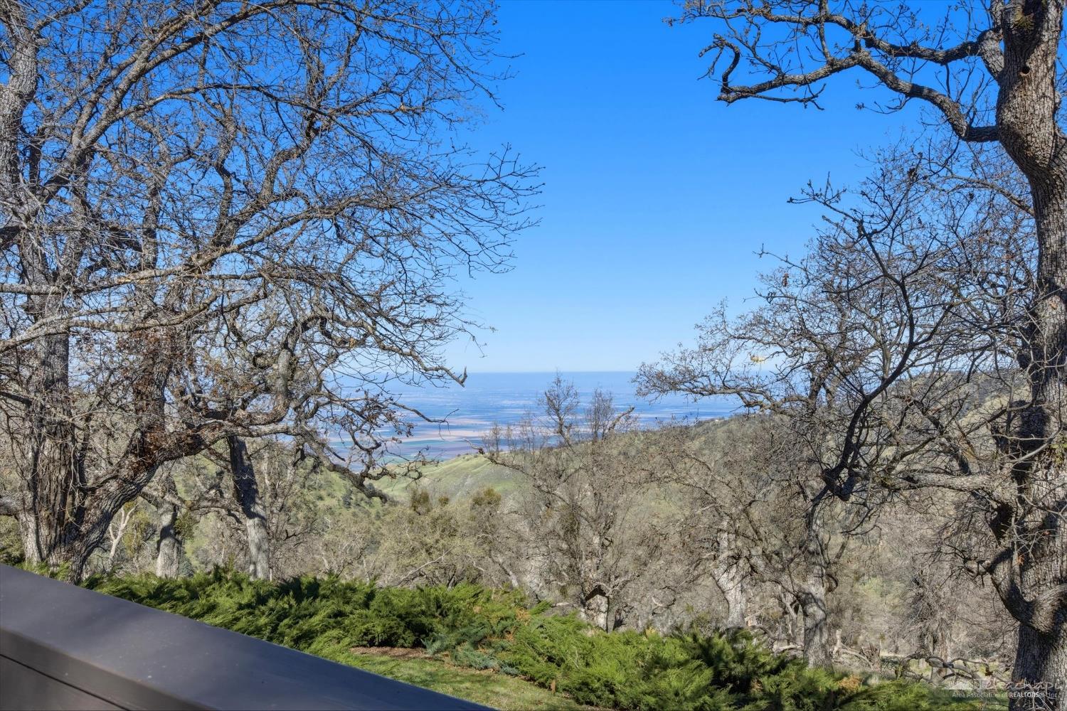 24151 Woodbine Court