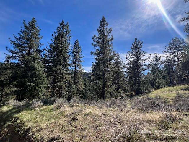 22400 Grimsel Drive