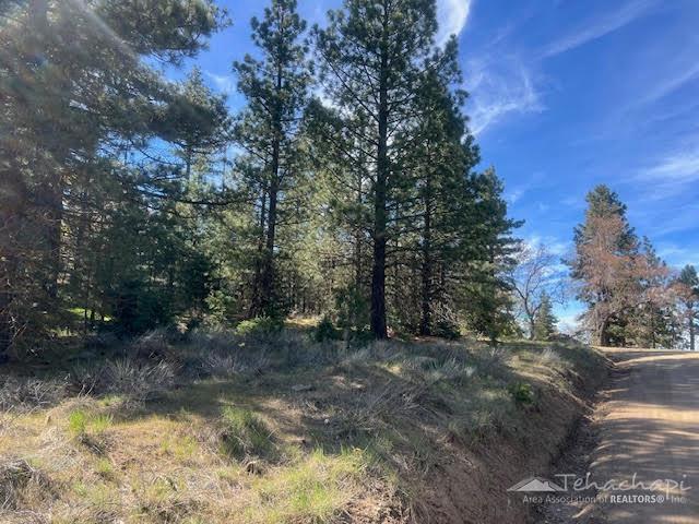 22400 Grimsel Drive