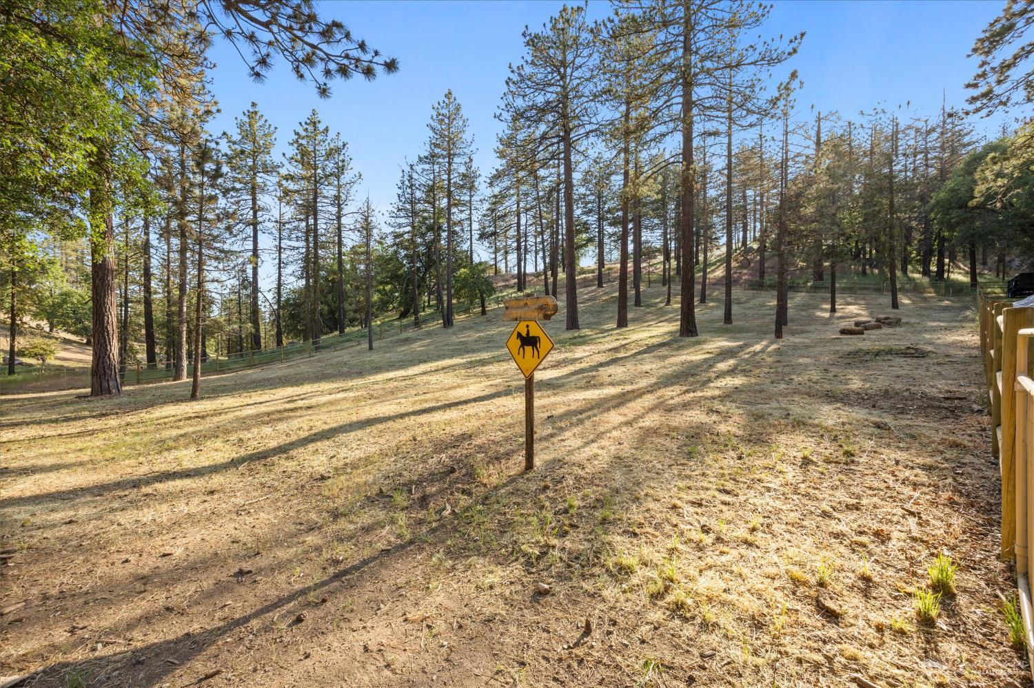 25601 Paramount Drive