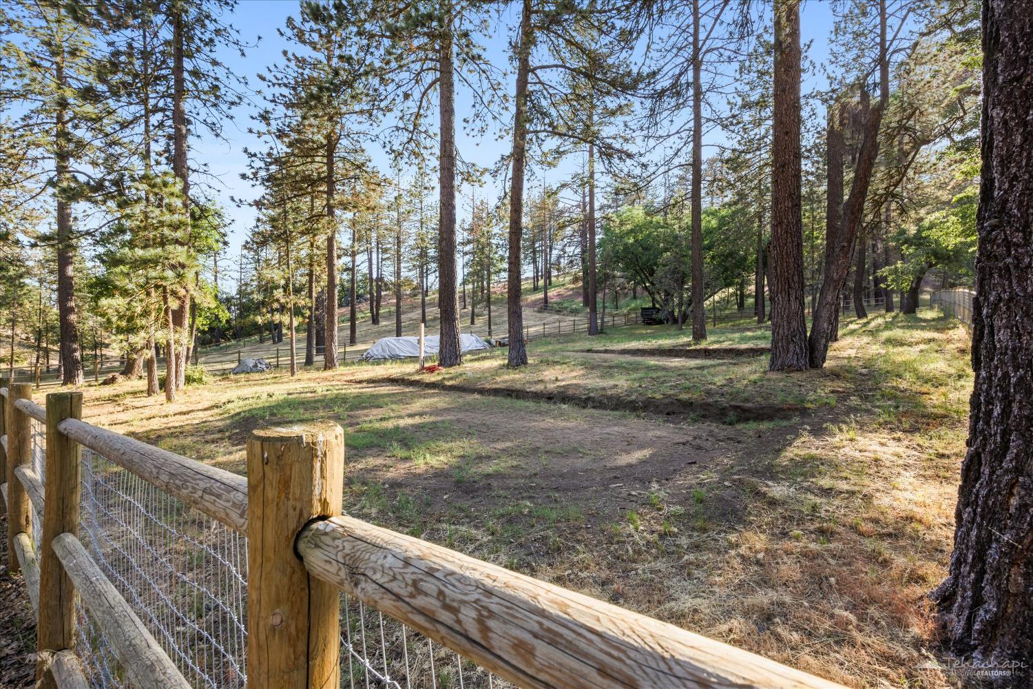 25601 Paramount Drive
