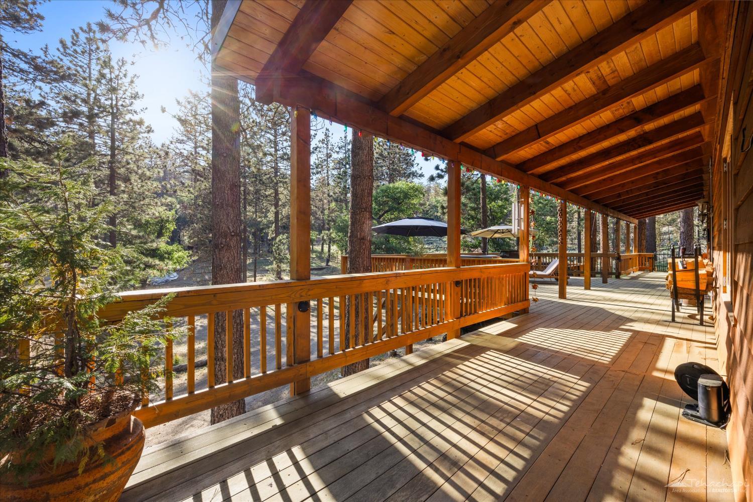 25601 Paramount Drive